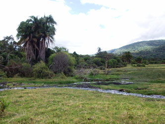 Safari Arusha National Park