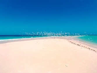 Isla arena océano Indico Pangani