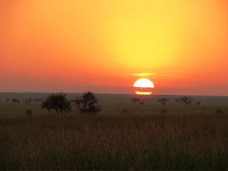 Coucher de soleil africain sur le Serengeti