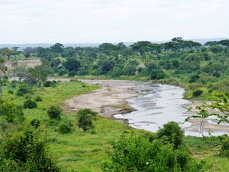 Vue du parc national de Tarangire
